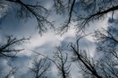 Καιρός - Meteo: H απόλυτη ελάχιστη θερμοκρασία - Πού άγγιξε ο υδράργυρος τους 0,3 βαθμούς Κελσίου σήμερα