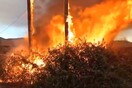 Φωτιά στους Αγίους Θεοδώρους κοντά σε σπίτια