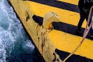 ΠΝΟ: Πανελλαδική απεργία σε όλες τις κατηγορίες πλοίων της ακτοπλοΐας στις 22 και 23 Οκτωβρίου