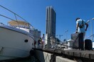 Λίβανος: Πληρώνουν 1.800 δολάρια κατ' άτομο για να ξεφύγουν απ' τον πόλεμο με πολυτελή γιοτ
