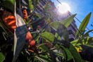 Καιρός αύριο: Καλοκαιρινό το σκηνικό την Τετάρτη