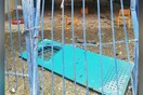 Σέρρες: Σε δίκη 11 άτομα δύο χρόνια μετά τον θάνατο μαθητή από έκρηξη λέβητα σε δημοτικό σχολείο