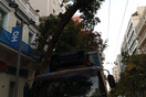 Δήμος Αθηναίων για το τροχαίο με φορτηγό στην Πατησίων: Η νταλίκα προκάλεσε την πτώση του δέντρου