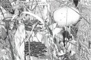 Γραμμή, κηλίδα, κουκίδα, κόκκος: Η ποικιλομορφία της Πολωνικής χαρακτικής 