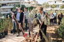 Η L'Oréal Hellas εγκαινίασε το πρώτο micro Forest στην καρδιά της Αθήνας 