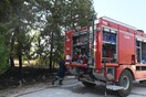 Φωτιά τώρα στην Αιτολωακαρνανία: Καίγεται χορτολιβαδική έκταση στη Ρούγα