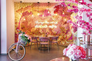 Pink Dot Cafe