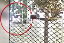 Βίντεο ντοκουμέντο από τη θανατηφόρα παράσυρση στην Αθήνα- Ο οδηγός χτύπησε τον πεζό και εγκατέλειψε το όχημα