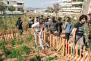 H Αθήνα έχει πλέον το δικό της micro forest χάρη στη L’ Oreal Hellas
