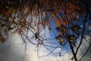 «Διπρόσωπος» ο καιρός των επόμενων ημερών: Πού θα έχει ήλιο και πού χιόνια