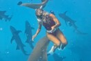 Καρχαρίας δάγκωσε influencer και «απογείωσε» το Instagram προφίλ της με σχεδόν 20 εκατ. προβολές