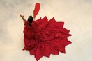 Τάσσος Παγώνης: Frames, Impressions, Emotions 