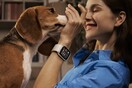 Δώστε στιλ στα Xριστούγεννα με τα νέα HUAWEI WATCH D2 & Ultimate Green Edition