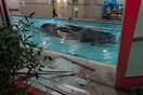 Αυτοκίνητο πέρασε τοίχο και κατέληξε στην πισίνα γυμναστηρίου