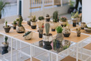 HOLIDAY MARKET @ NERAW