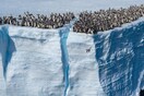 Οι φωτογραφίες της χρονιάς από το National Geographic