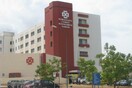 Δωρεά οργάνων από 33χρονη Αμερικανίδα που τραυματίστηκε σε φαράγγι της Κρήτης