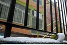 Ποια σχολεία θα παραμείνουν κλειστά την Τετάρτη λόγω του χιονιού