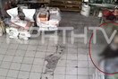 Κρήτη: Παραδόθηκε ο δράστης των πυροβολισμών στο Ηράκλειο