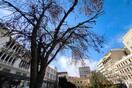 Ο καιρός σήμερα: Σε υψηλά επίπεδα η θερμοκρασία