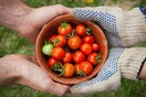 Γιατί τα φρούτα και τα λαχανικά σήμερα, είναι λιγότερο θρεπτικά