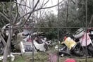 Δολοφονία στην Πιερία: «Εξαφάνισε ακόμη και τον σκύλο του θύματος για να μη βρει το πτώμα»