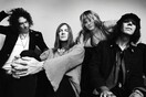 THE DANDY WARHOLS 