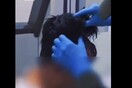 Κολομβία: Συνελήφθη με ποσότητα κοκαΐνης 10.000 δολαρίων στην περούκα του