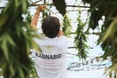 Υγιεινή διατροφή με τα λειτουργικά τρόφιμα της KANNABIO