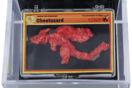 Σνακ σε σχήμα Pokémon πουλήθηκε για 87.840 δολάρια σε δημοπρασία