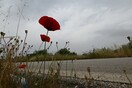 Καιρός: Εβδομάδα με υψηλές θερμοκρασίες και αφρικανική σκόνη