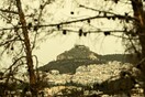 Καιρός - Τσατραφύλλιας: Η πιο ζεστή μέρα της εβδομάδας - Πού θα δούμε τα πρώτα 30άρια του 2025