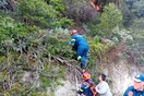 Φωτιά στη Σάμο: Υπό έλεγχο το μέτωπο στο Κοκκάρι