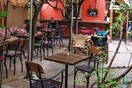 Momo: Μας έμαθε το brunch και παραμένει αγαπημένο στέκι