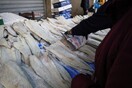 Μπακαλιάρος: Πώς τον ξεχωρίζουμε από το λινγκ – Χρήσιμες συμβουλές