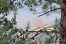 Φωτιά στη Λευκάδα - Εστάλη μήνυμα από το 112