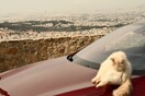 Καιρός σήμερα: Με αφρικανική σκόνη, νεφώσεις και βροχές η 25η Μαρτίου