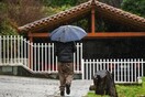 Τσατραφύλλιας: Έρχεται καιρός τύπου «Π» - Αυτές οι 3 περιοχές επηρεάζονται από δύο βαρομετρικά χαμηλά