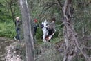 Χανιά: Σώος εντοπίστηκε μετά από ώρες περιπλάνησης 17χρονος Άγγλος στη Μονή Γουβερνέτου