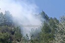 Φωτιά τώρα στη Φθιώτιδα: Καίγεται αγροτοδασική περιοχή στον Λογγό 