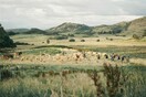 "Harvest', η νέα ταινία της Αθηνάς Ραχήλ Τσαγγάρη