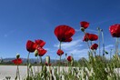 Πώς θα είναι ο καιρός την Κυριακή του Πάσχα