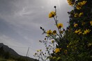 Ο καιρός σήμερα: Άστατος, με αφρικανική σκόνη και τοπικές καταιγίδες