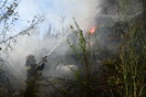 Κεφαλονιά: Υπό μερικό έλεγχο η φωτιά