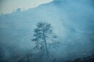 Φωτιά στην Κερατέα: Ερευνούν πώς ξέσπασε