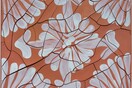 Adriana Varejão: Histórias Moldadas