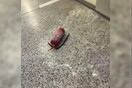 Επίθεση κουκουλοφόρων στη Νομική: Ερευνούν τις κάμερες ασφαλείας για να εντοπίσουν τους δράστες