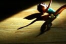  Ένας στους επτά ενήλικες στην Ελλάδα έχει βιώσει σεξουαλική βία κατά την παιδική ηλικία, σύμφωνα με παγκόσμια έρευνα