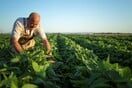 Eurostat: Οι Έλληνες εργάζονται τις περισσότερες ώρες την εβδομάδα στην Ευρώπη - Ποιοι δουλεύουν λιγότερο