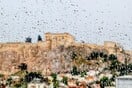 ΚΑΙΡΟΣ ΚΑΚΟΚΑΙΡΙΑ INES